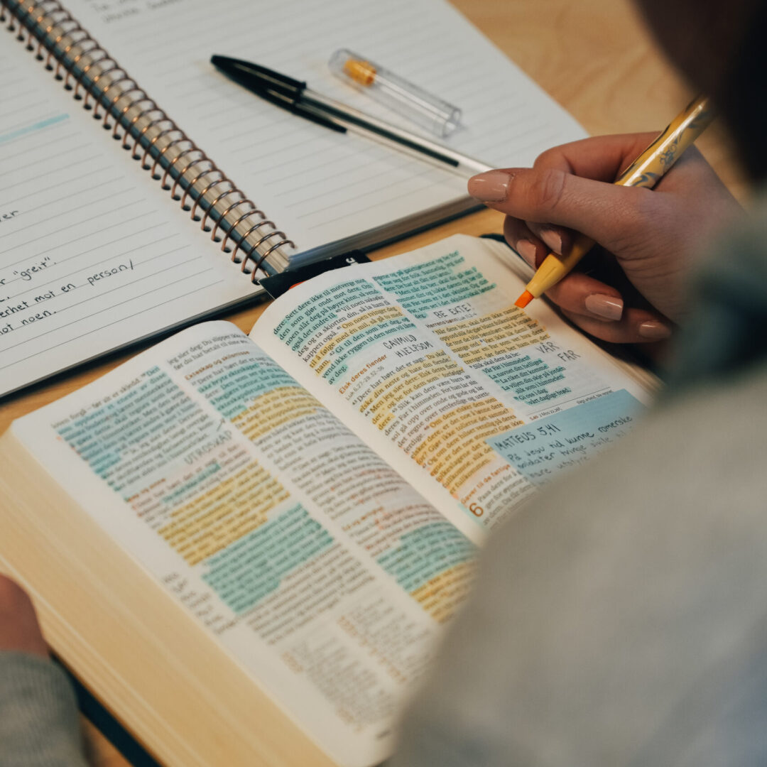 Disippel-07132 Disippel-07132